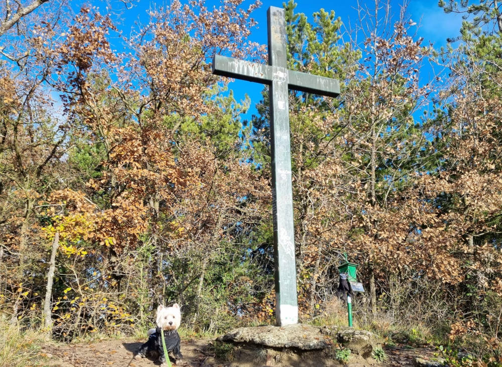 Monte Oihana