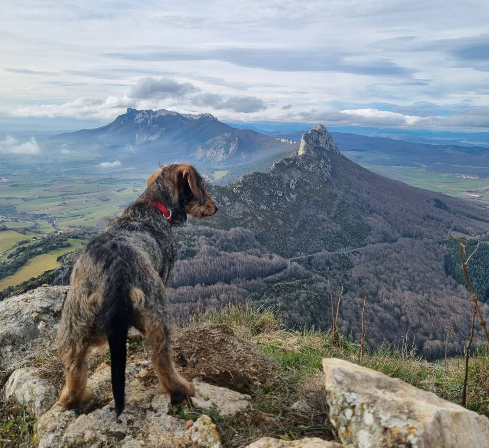 Vistas desde La Picota