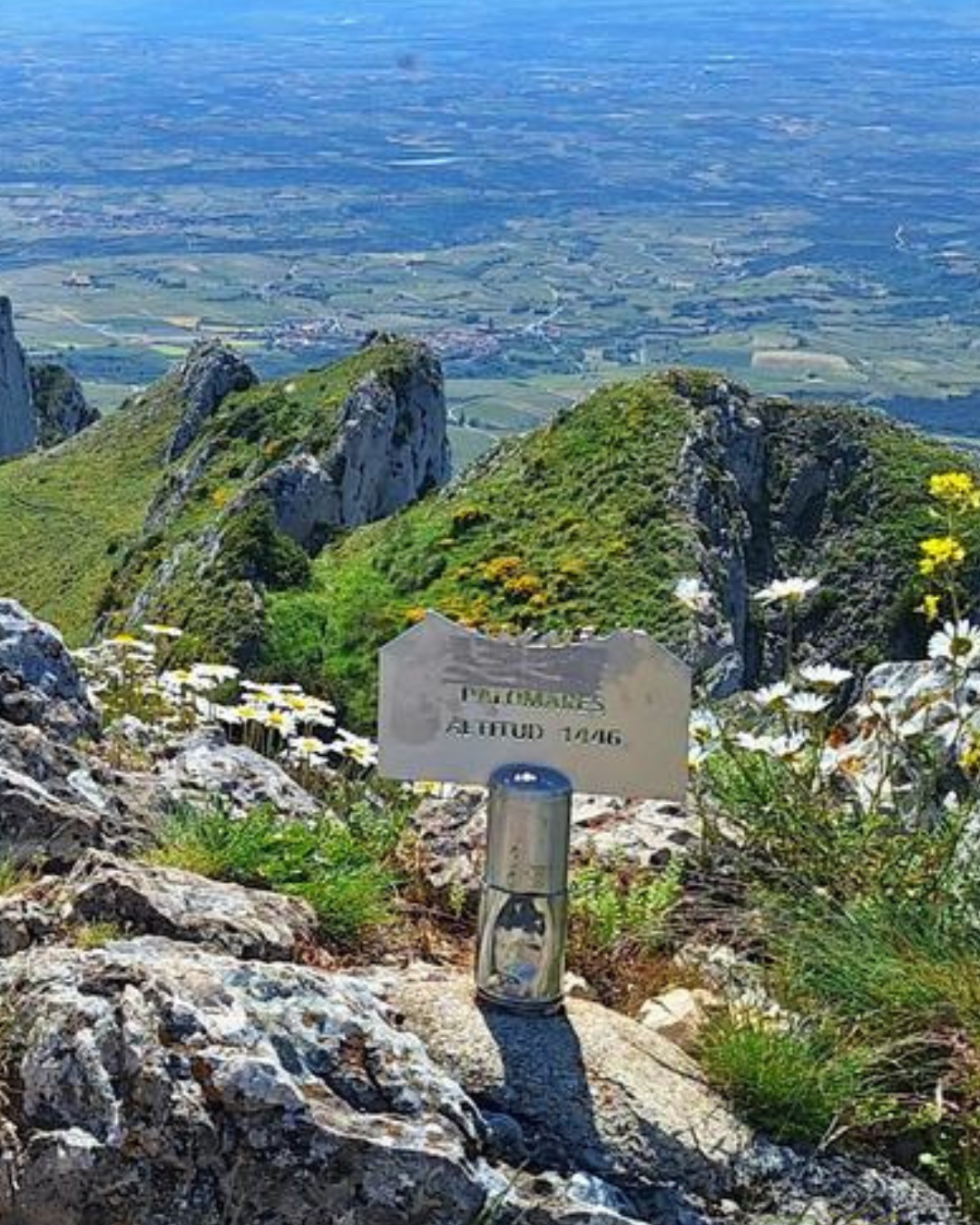 Cima Palomares